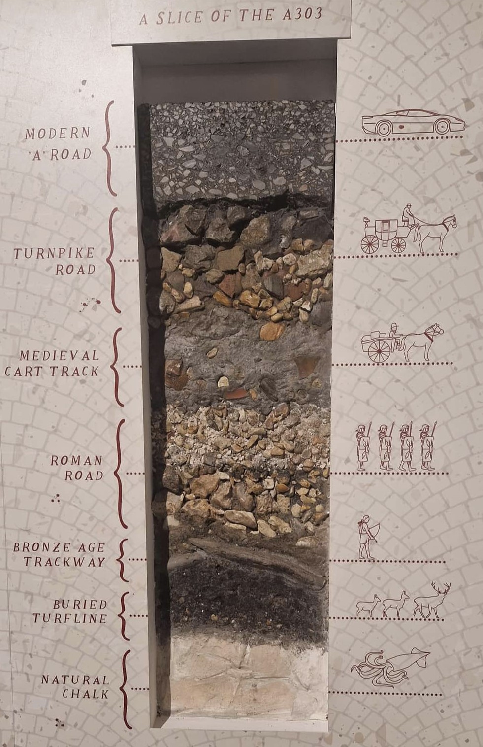 A303 Cross section